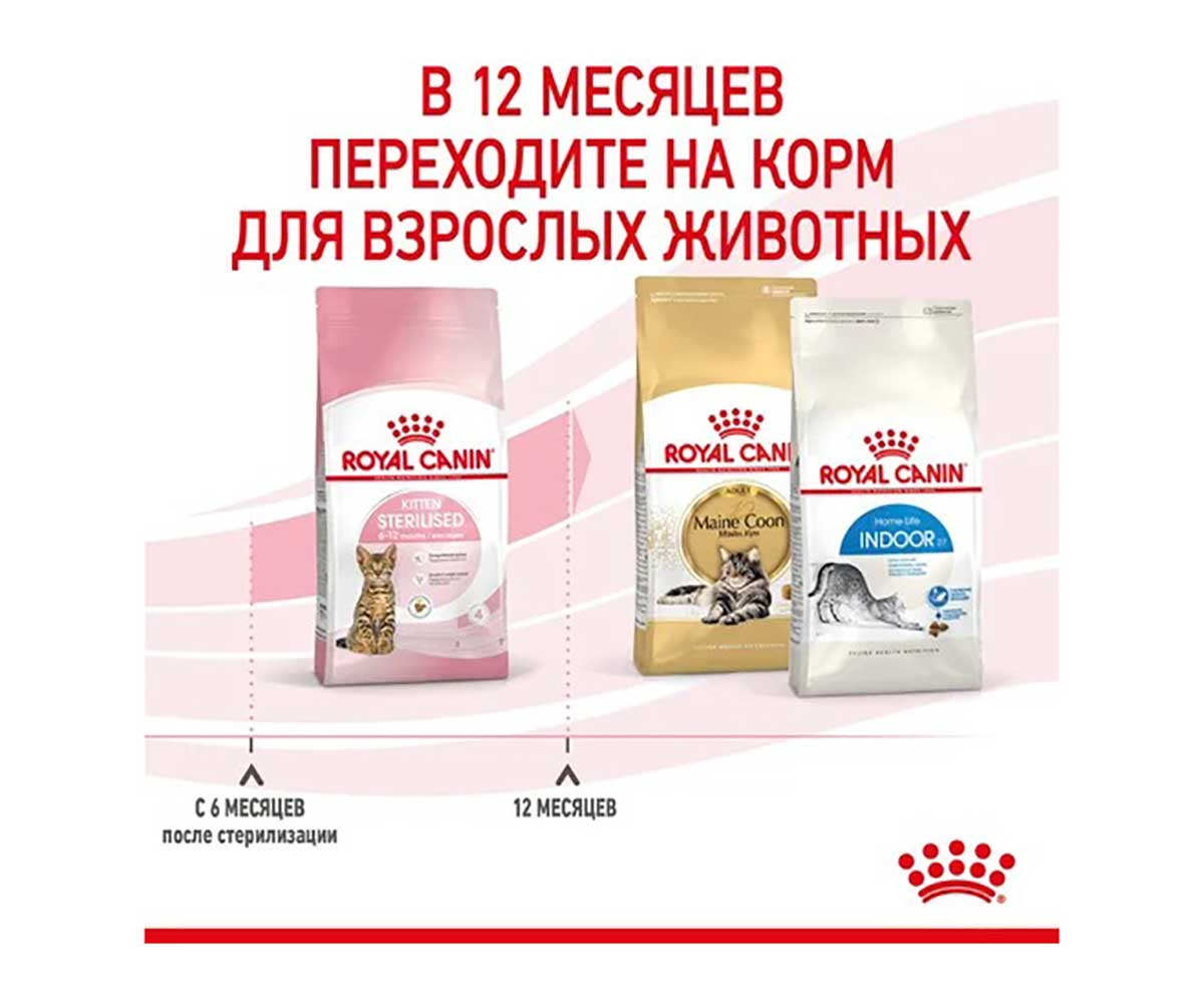Сухой Корм Royal Canin (Роял Канин) Для Стерилизованных Котят Feline Health Nutrition Kitten Sterilised 3,5кг
