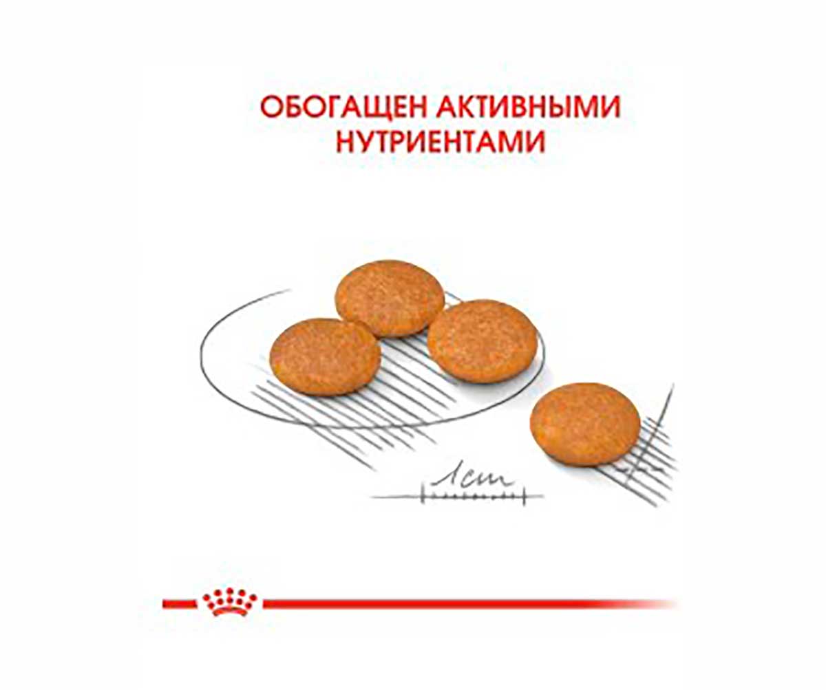 Сухой Корм Royal Canin (Роял Канин) Для Собак Мелких Пород с Чувствительной Кожей MINI Dermacomfort 1кг