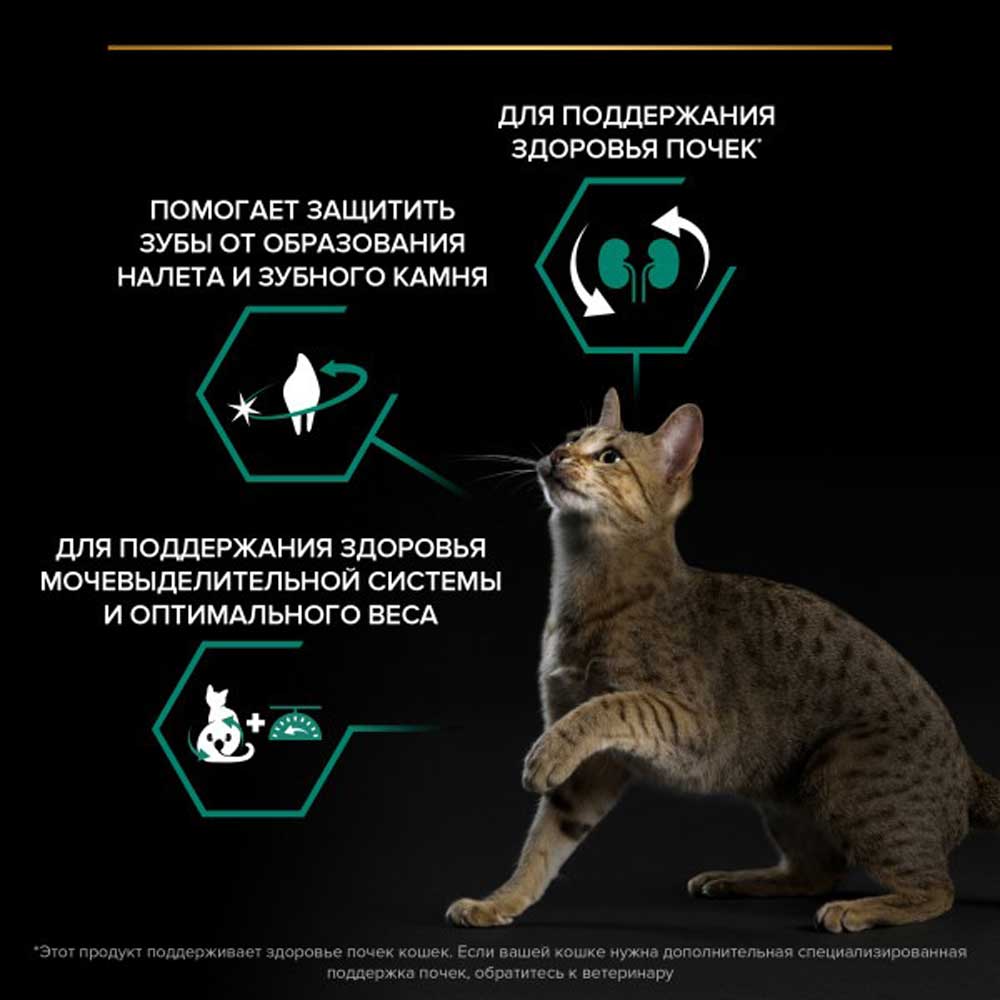 Сухой Корм Pro Plan (ПроПлан) Для Стерилизованных Кошек и Кастрированных Котов Для Поддержания Здоровья Почек Кролик Renal Plus  Sterilised 200г