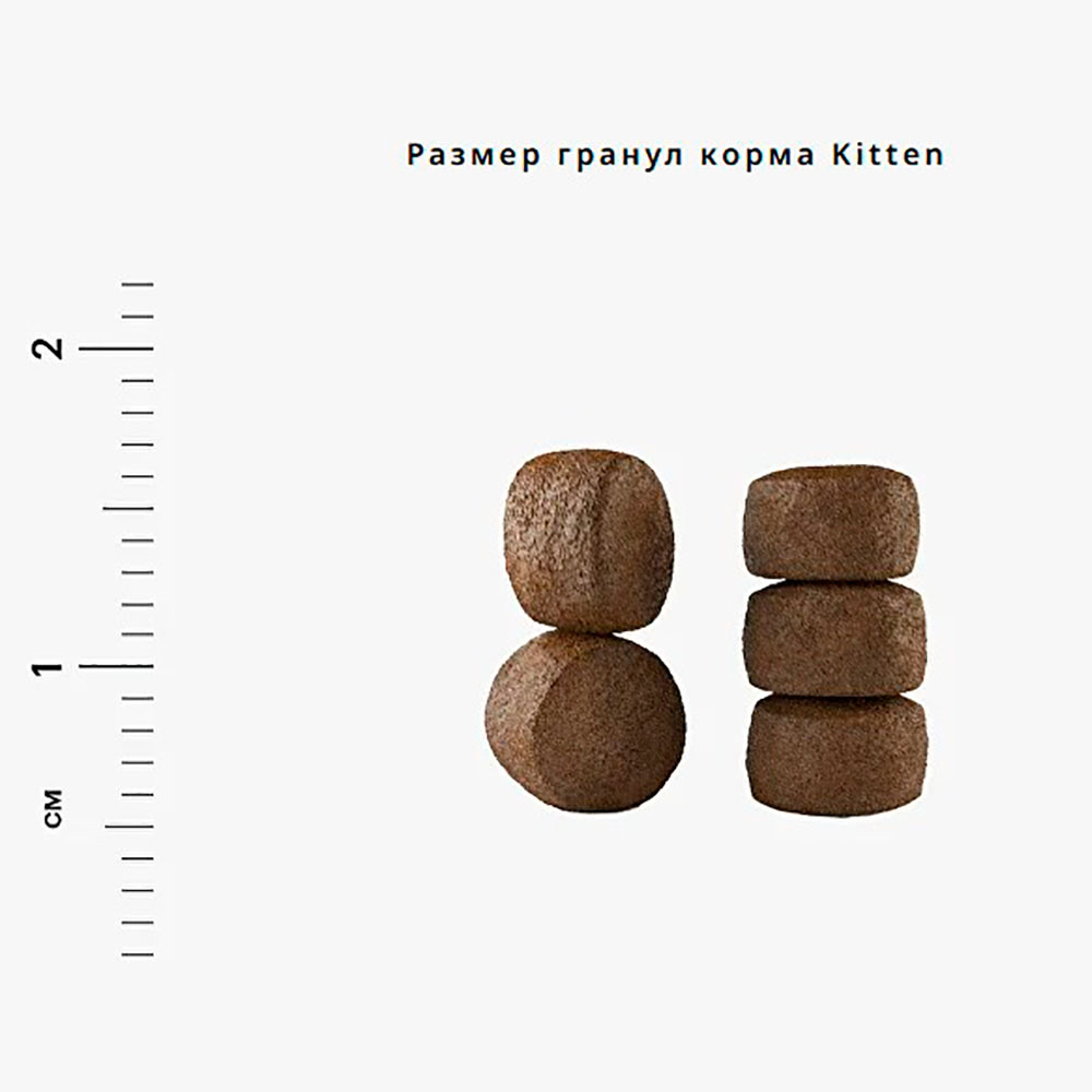 Сухой Корм Karmy (Карми) Для Котят Индейка Kitten Turkey 1,5кг
