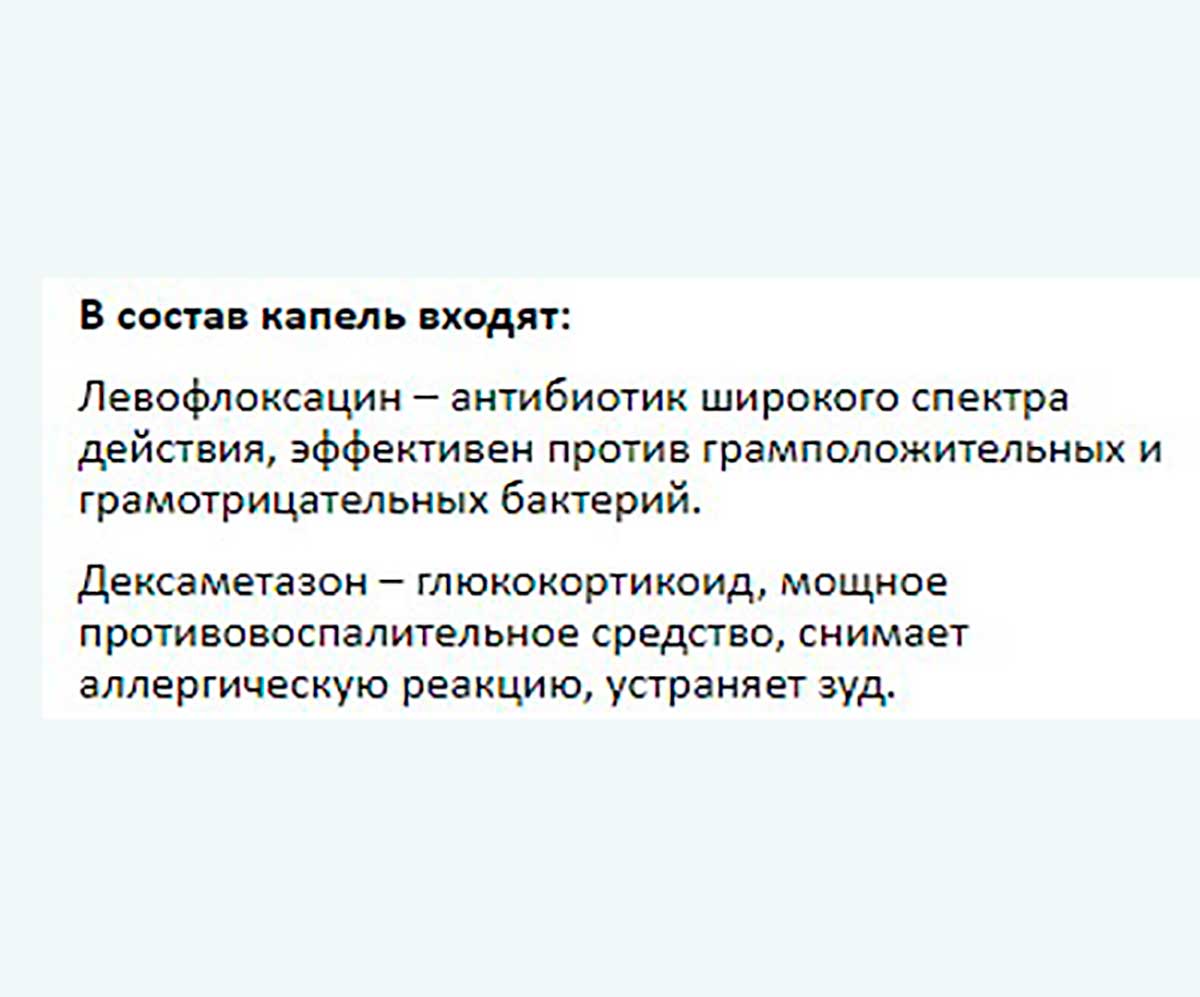 CitoDerm (Цитодерм) Капли Для Ушей Для Кошек и Собак Антибактериальные 10мл D112 Neoterica (Неотерика)
