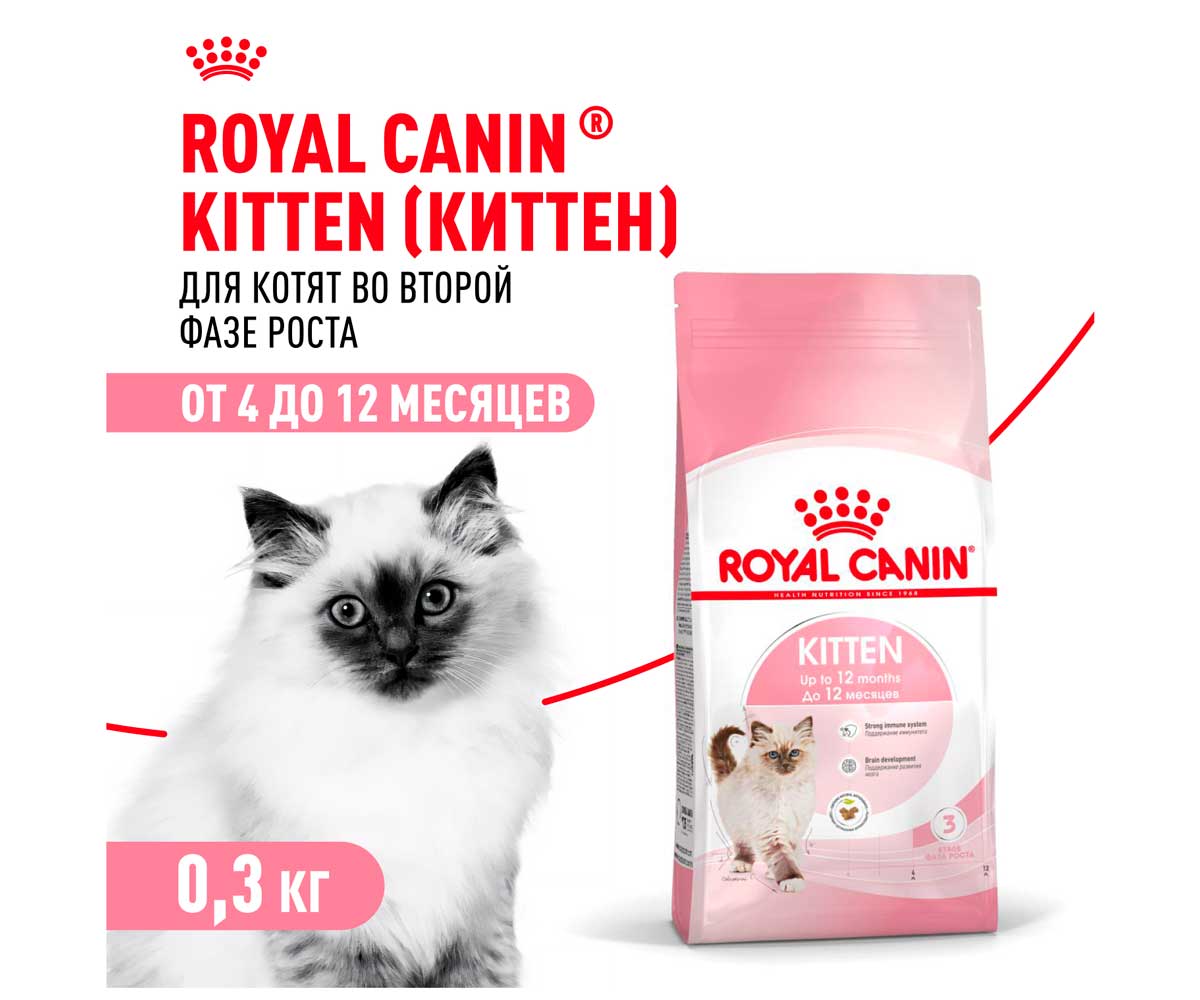 Сухой Корм Royal Canin (Роял Канин) Для Котят от 4 до 12 Месяцев Feline Health Nutrition Kitten 36 300г