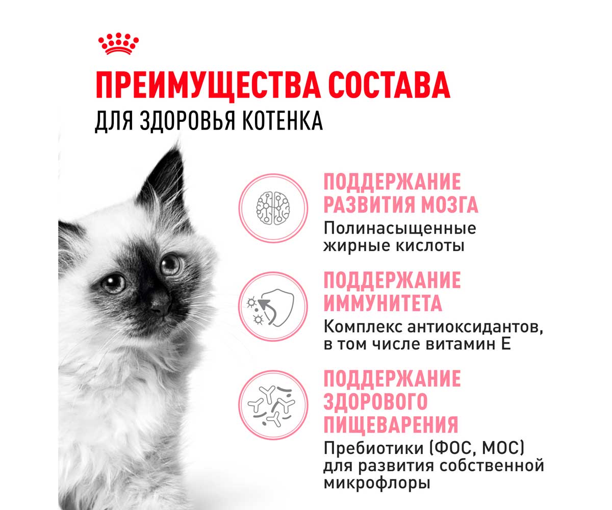 Сухой Корм Royal Canin (Роял Канин) Для Котят от 4 до 12 Месяцев Feline Health Nutrition Kitten 36 300г