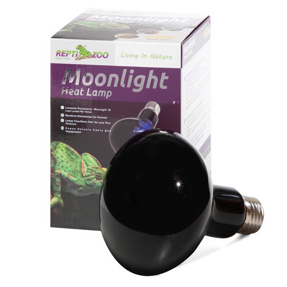 Лампа Для Террариума Repti Zoo Reptinightglow 150Вт Ночная D95150 83725017
