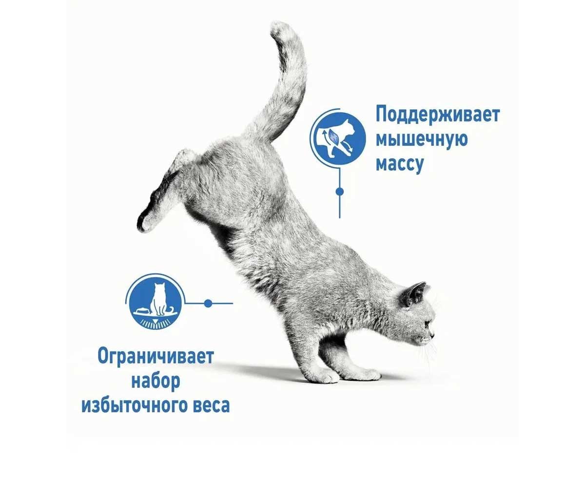 Сухой Корм Royal Canin (Роял Канин) Для Кошек Для Поддержания Оптимального Веса Диетический Light Weight Care 1,5кг