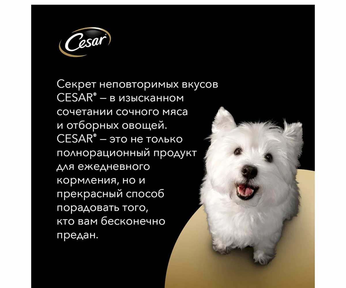 Влажный Корм Cesar (Цезарь) Для Собак Ягненок и Овощи 85г (1*28)