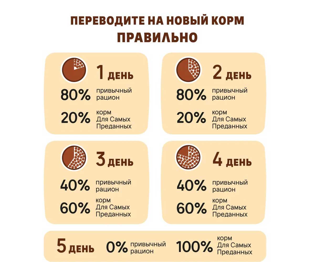 Сухой Корм Для Самых Преданных Для Кошек Телятина и Рис Karmy (Карми) 10кг