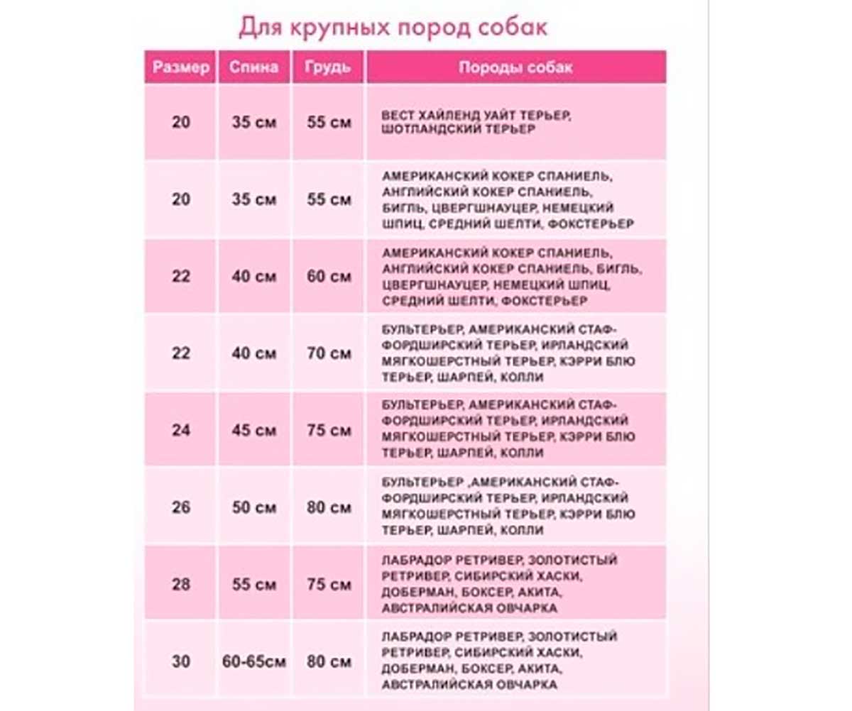 Кофта Для Собак Миниатюрных Пород Style Полоска М Pet Fashion (Пет Фешн)