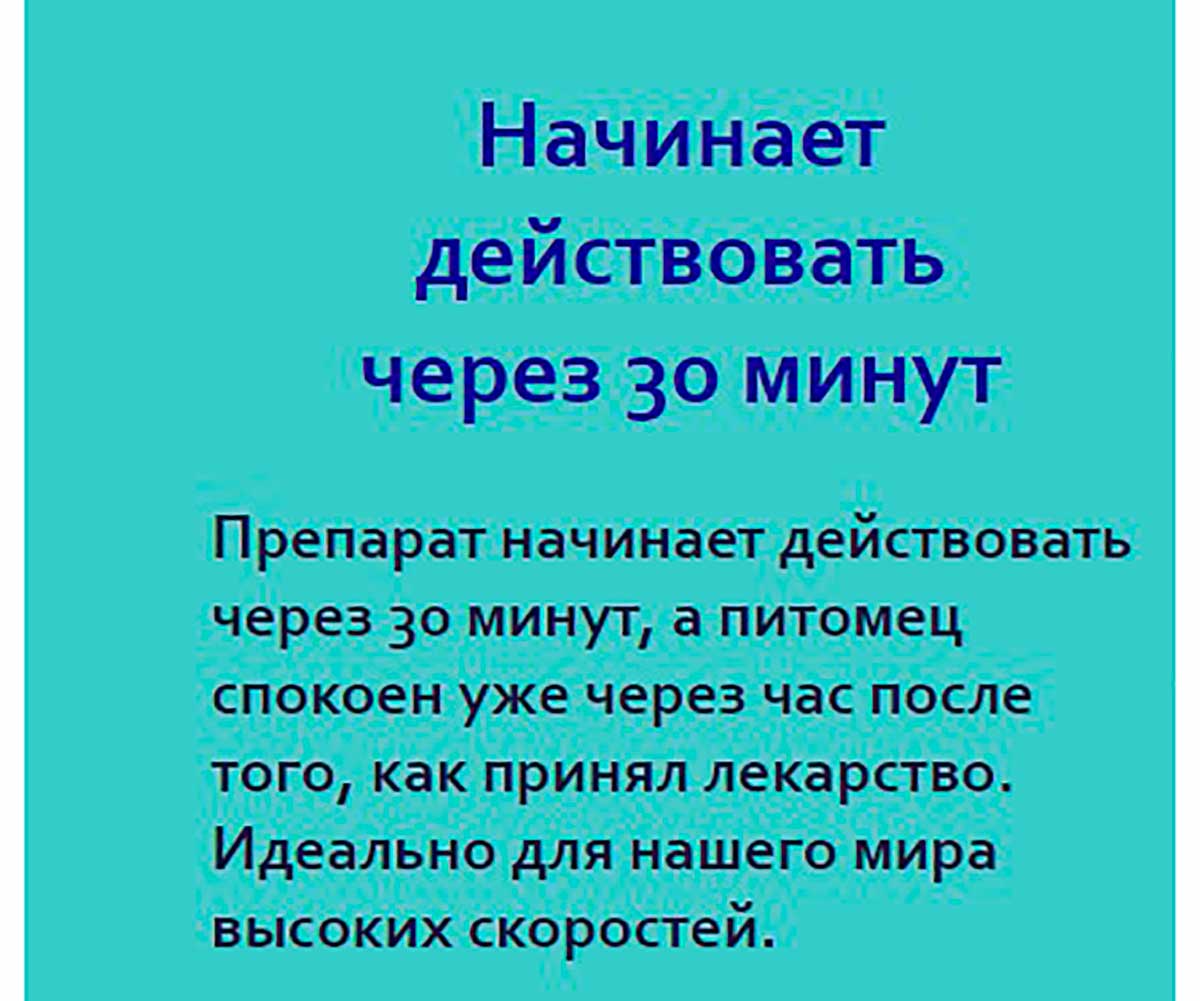 Экспресс Успокоин Успокоительный Препарат Для Собак Маленьких Пород 6 таблеток