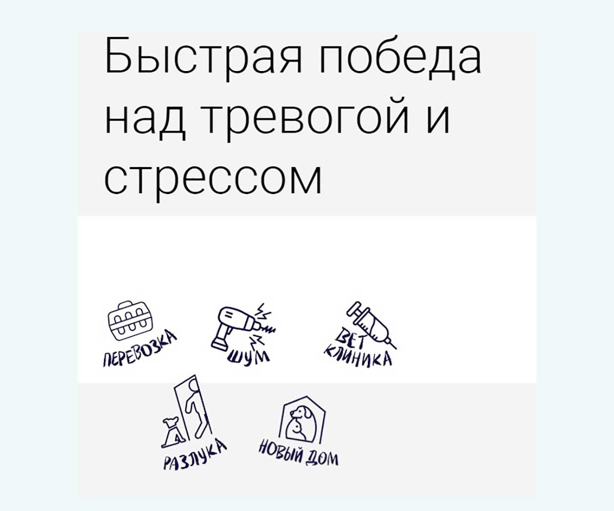 Экспресс Успокоин Успокоительный Препарат Для Кошек 2 Таблетки