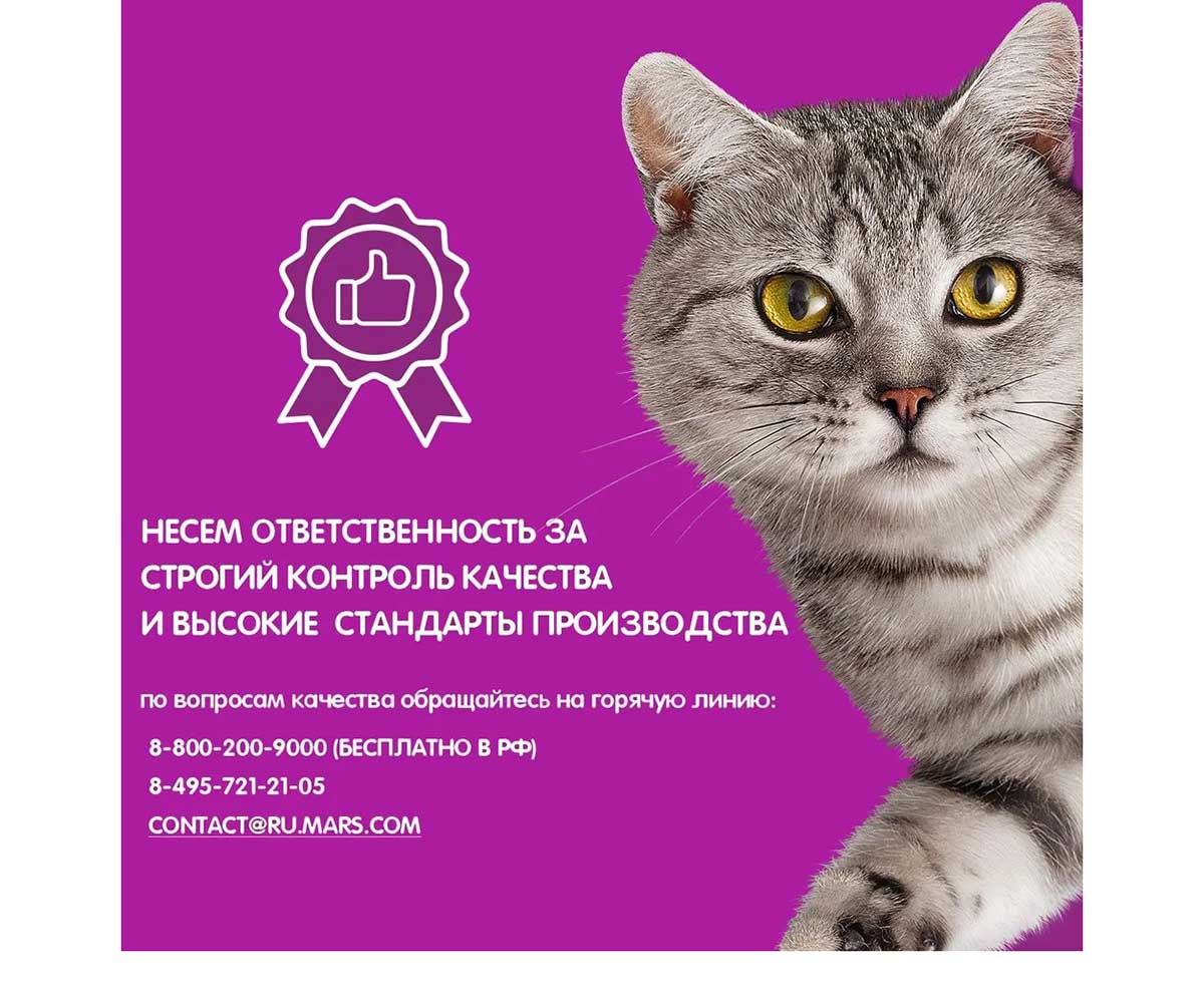 Сухой Корм Whiskas (Вискас) Для Кошек Подушечки с Паштетом Говядина 13,8кг (1*1)