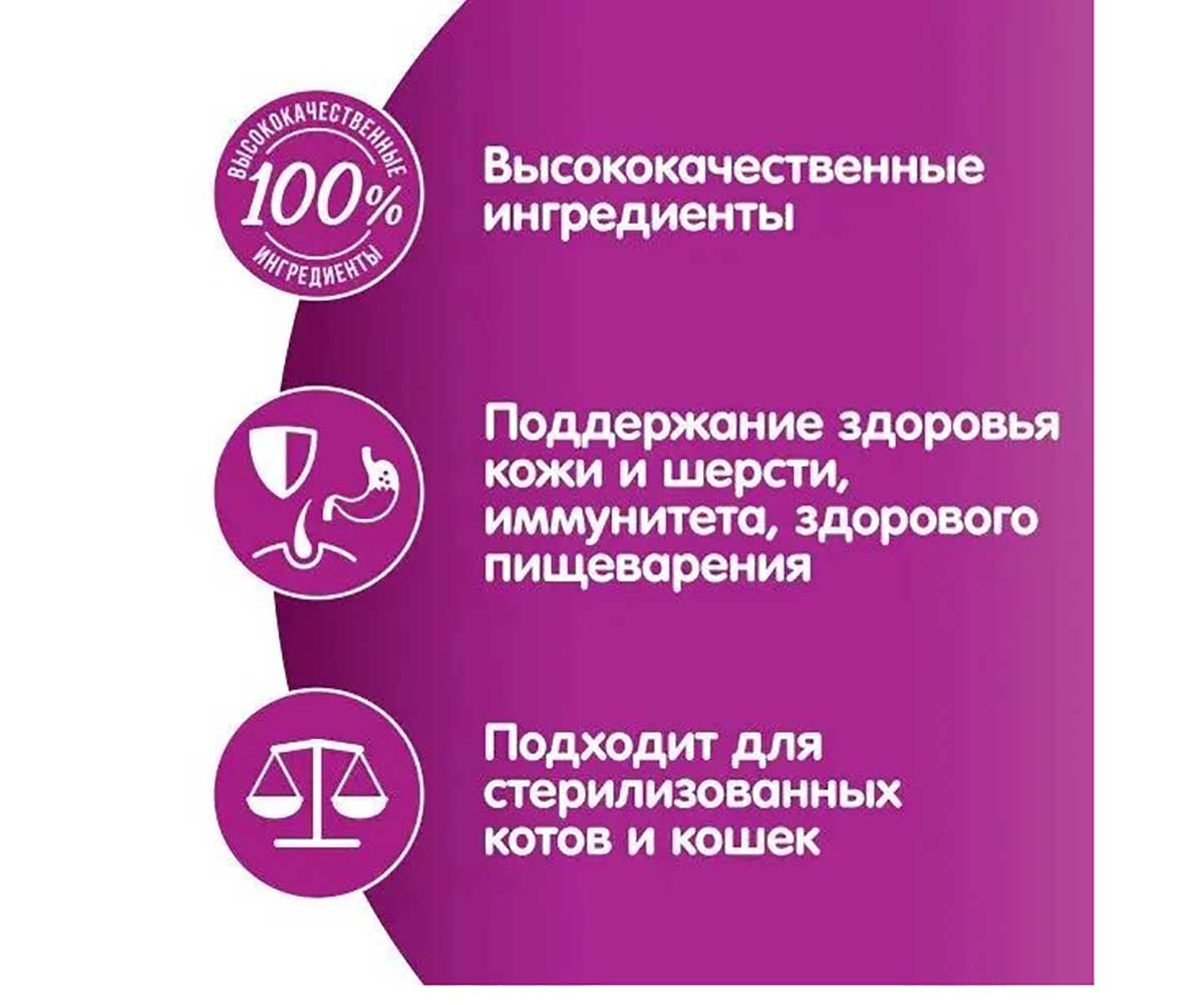 Сухой Корм Whiskas (Вискас) Для Кошек Подушечки Лосось Паштет Аппетитный Обед 350г (1*9)