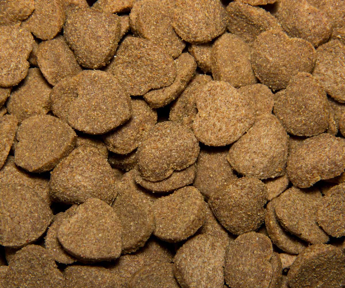 Сухой Корм Tasty (Тэсти) Для Собак Говядина 2,2кг (1*5)