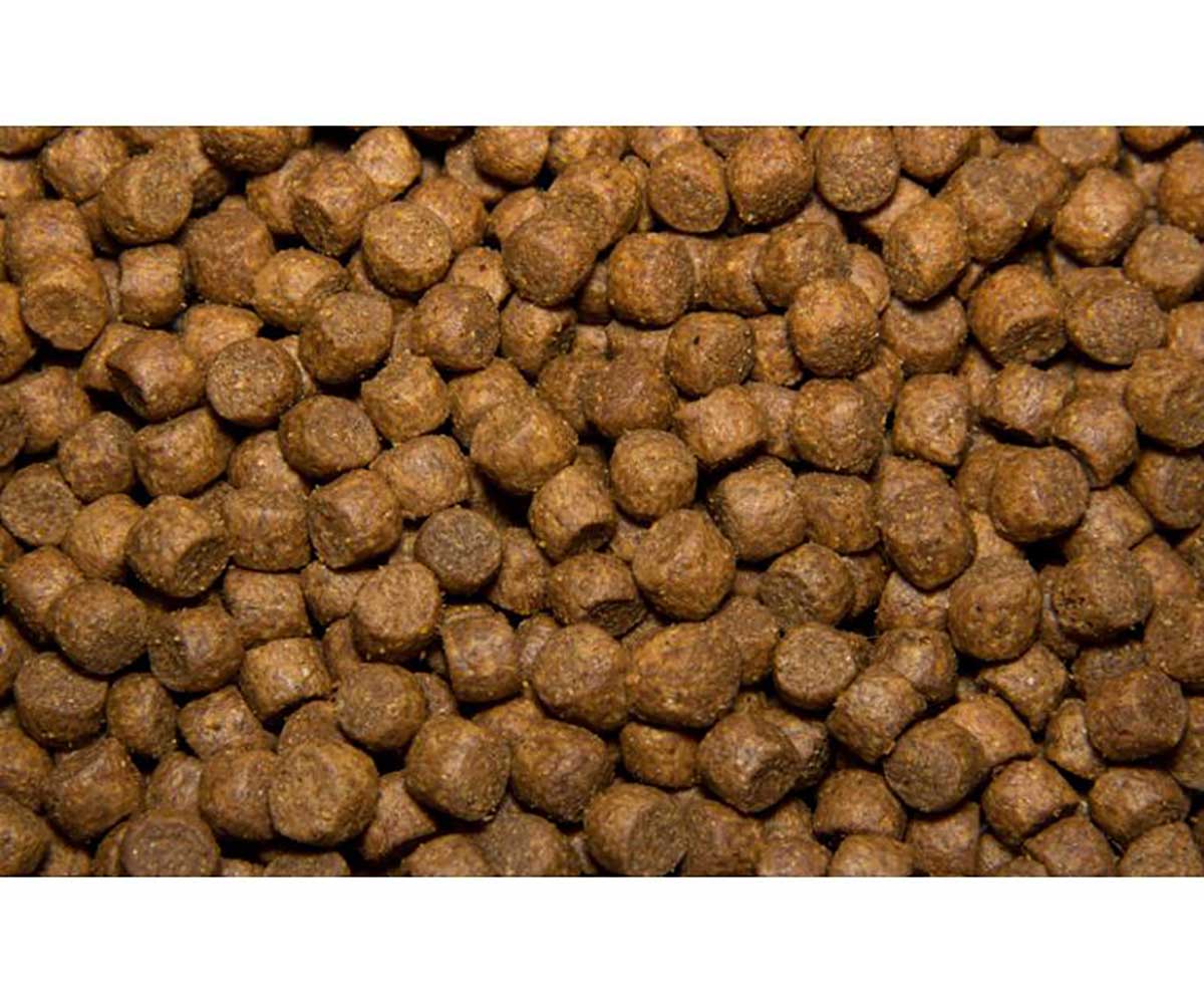 Сухой Корм All Puppies (Олл Паппис) Для Щенков Говядина и Овощи 13кг