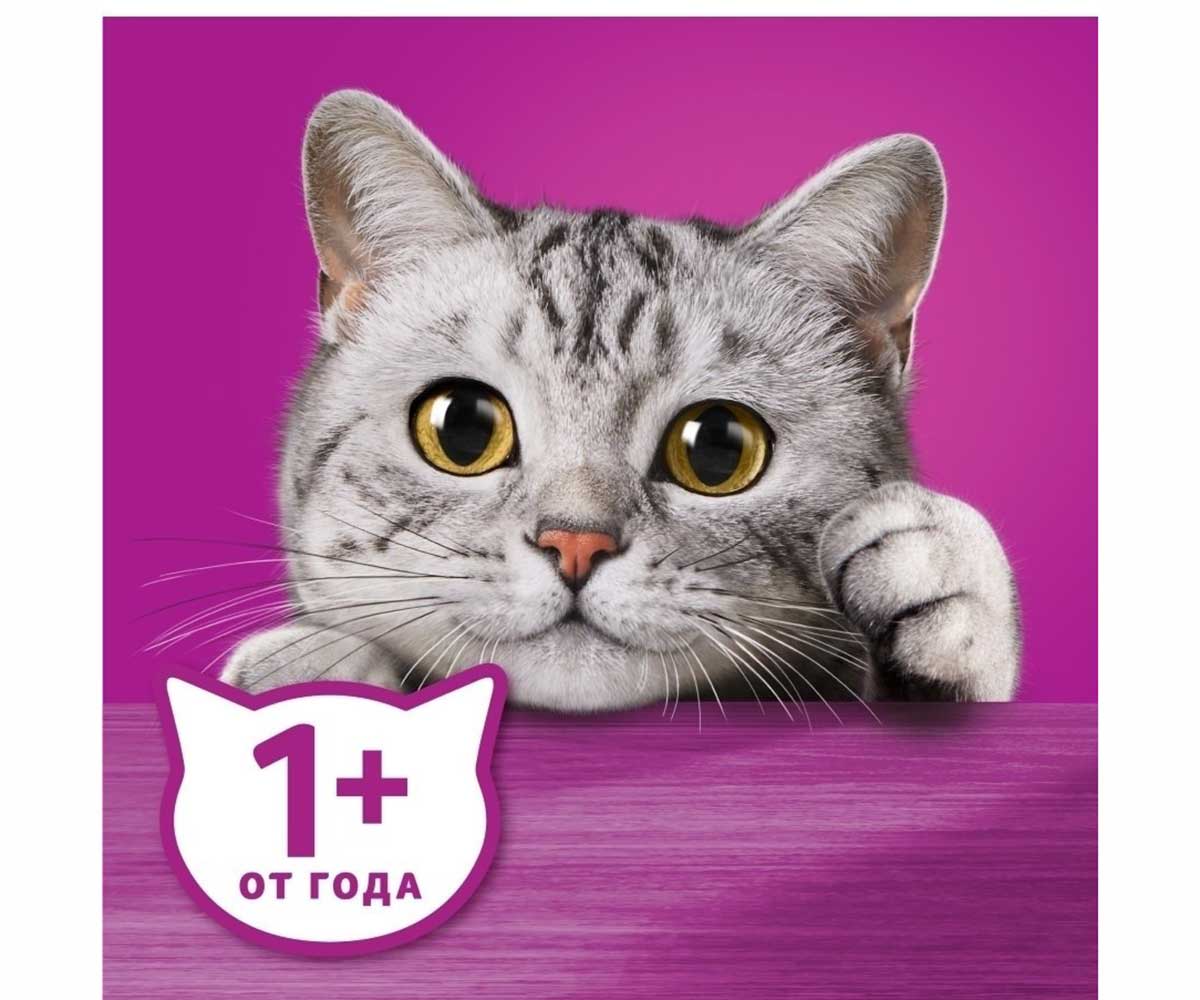 Влажный Корм Whiskas (Вискас) Для Кошек Говядина и Ягненок Рагу 75г (1*28)