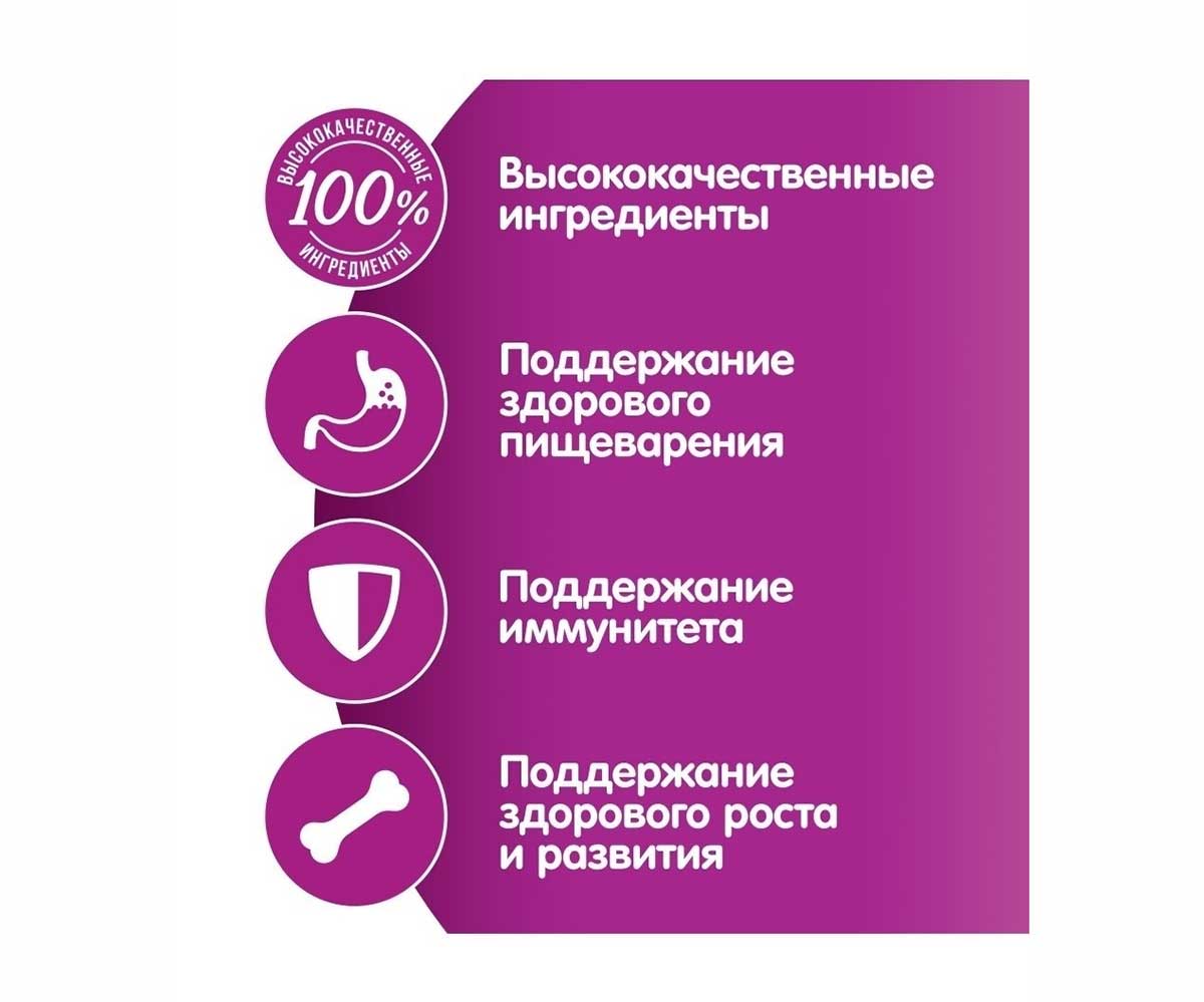 Влажный Корм Whiskas (Вискас) Для Котят Ягненок Рагу 75г (1*28)