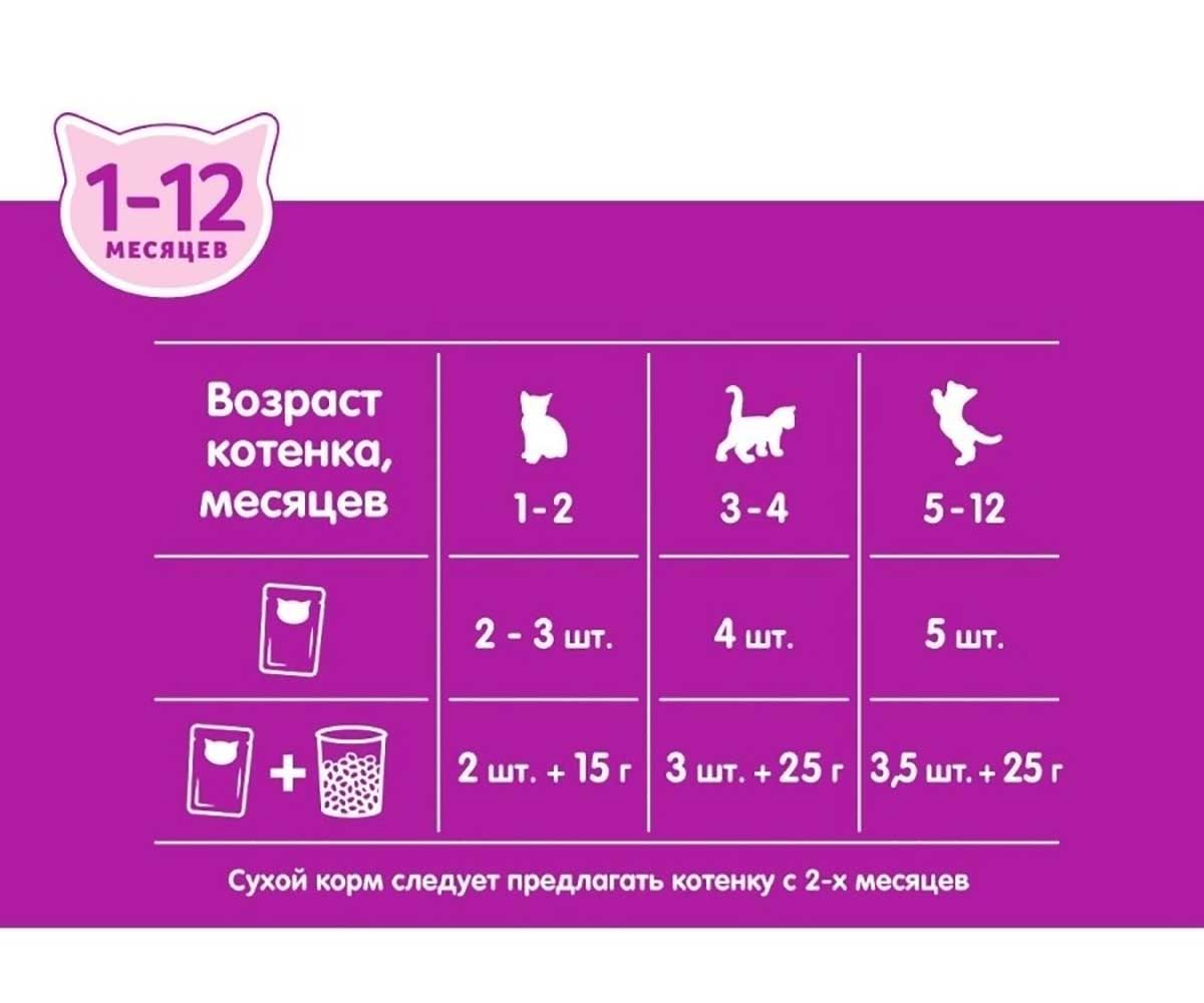Влажный Корм Whiskas (Вискас) Для Котят Ягненок Рагу 75г (1*28)