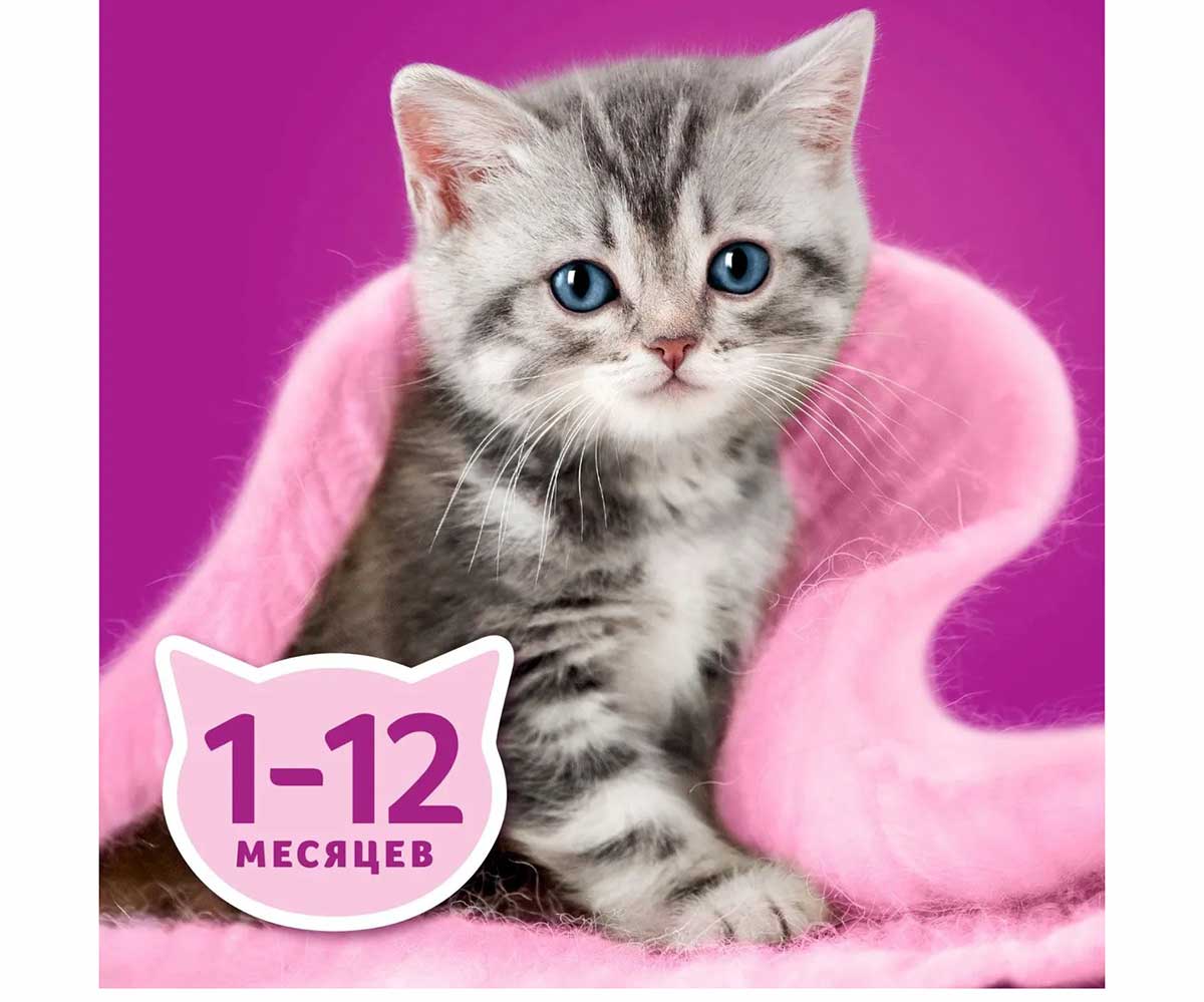 Влажный Корм Whiskas (Вискас) Для Котят Ягненок Рагу 75г (1*28)