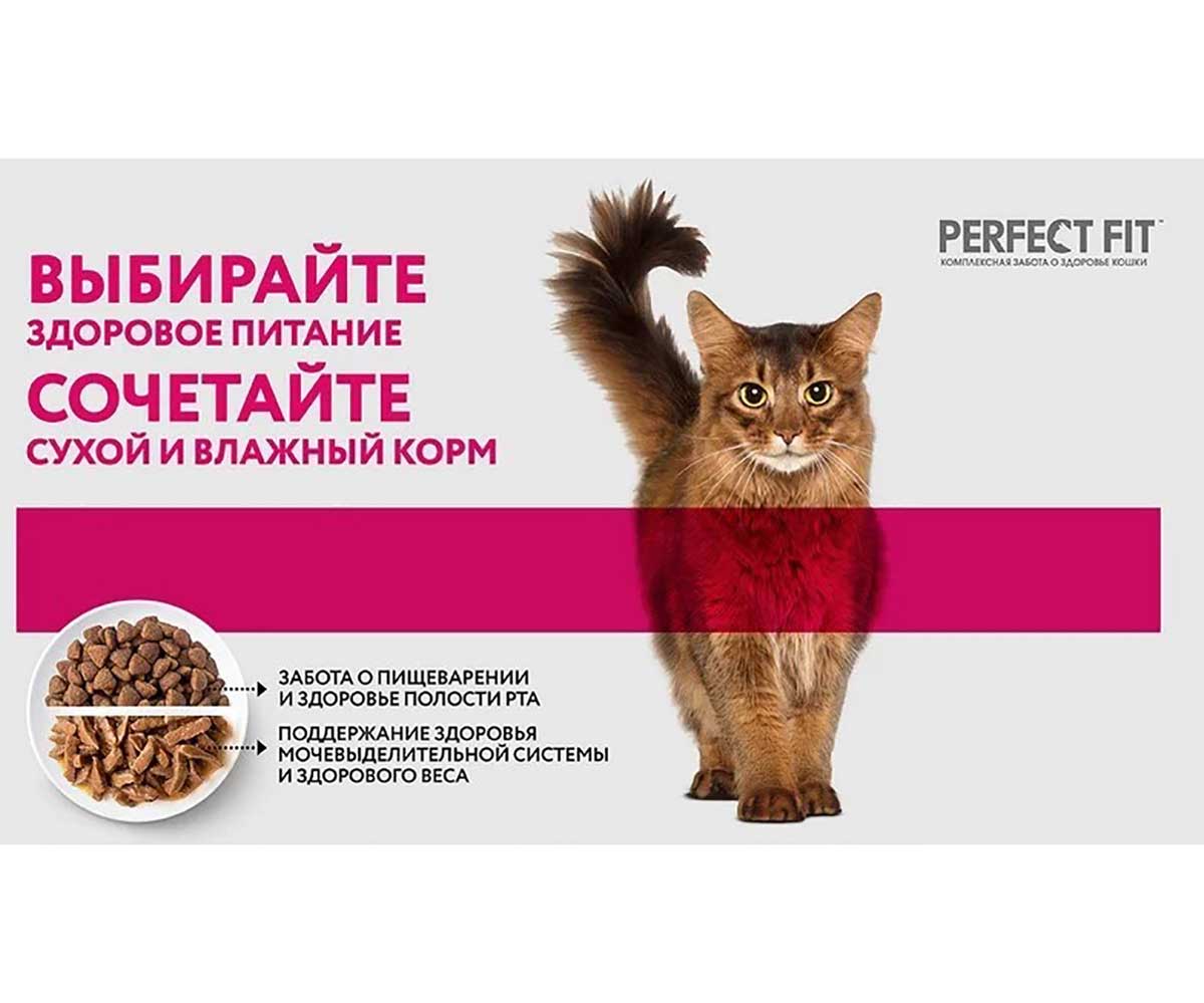Влажный Корм Perfect Fit (Перфект Фит) Для Стерилизованных Кошек Старше 7 Лет Курица в Соусе 75г (1*28)
