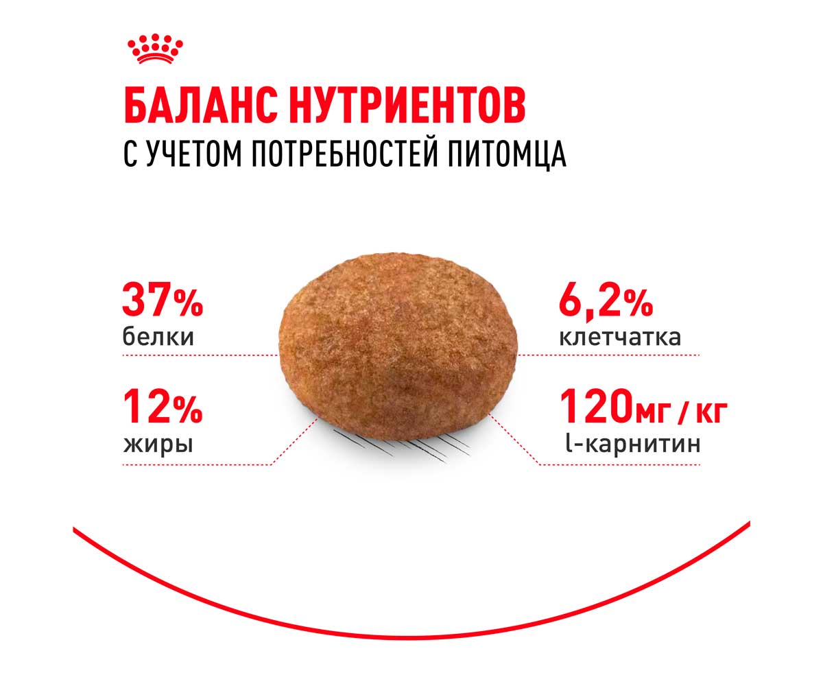 Сухой Корм Royal Canin (Роял Канин) Для Стерилизованных Кошек и Кастрированных Котов Feline Health Nutrition Sterilised 37 200г