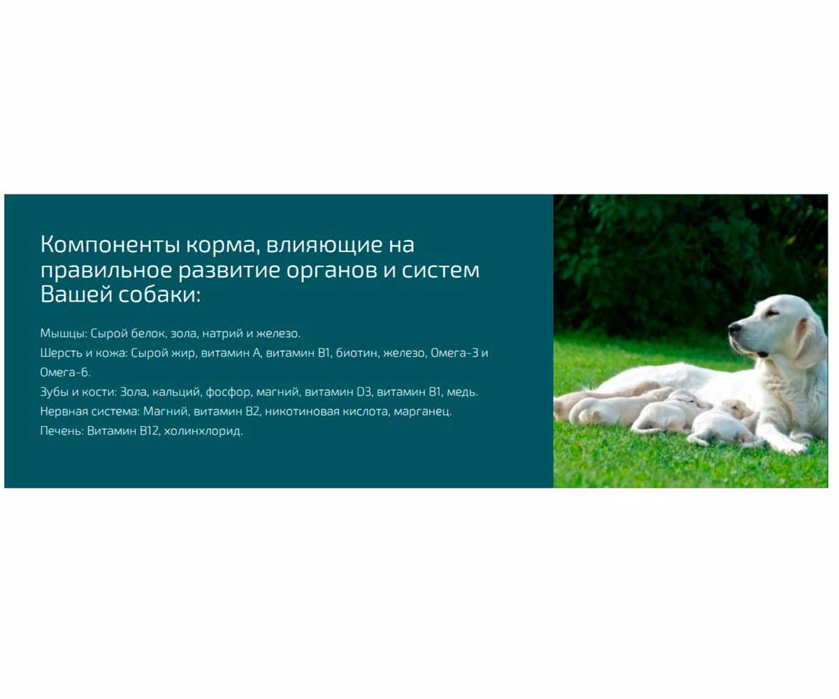 Сухой Корм All Puppies (Олл Паппис) Для Щенков Всех Пород Курица 2,2кг (1*5)