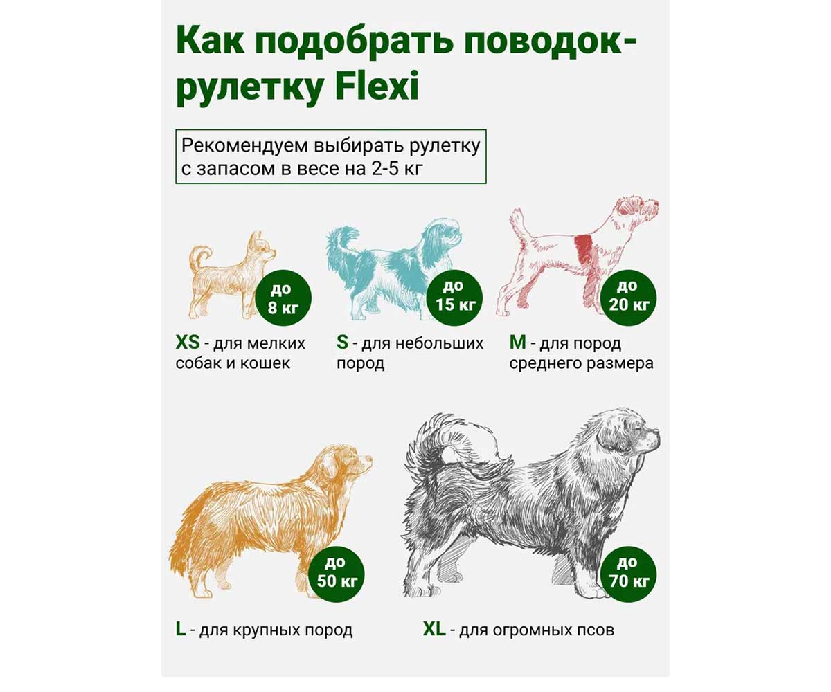Рулетка Для Кошек и Собак Мелких Пород Flexi (Флекси) Black Design Xs 3м До 8кг Трос Черный и Серебро