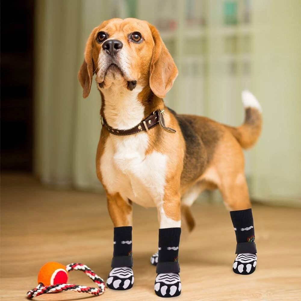 Носки Pet Fashion (Пет Фешн) Для Собак H04 Радуга L Лапа Липа/Кнопка