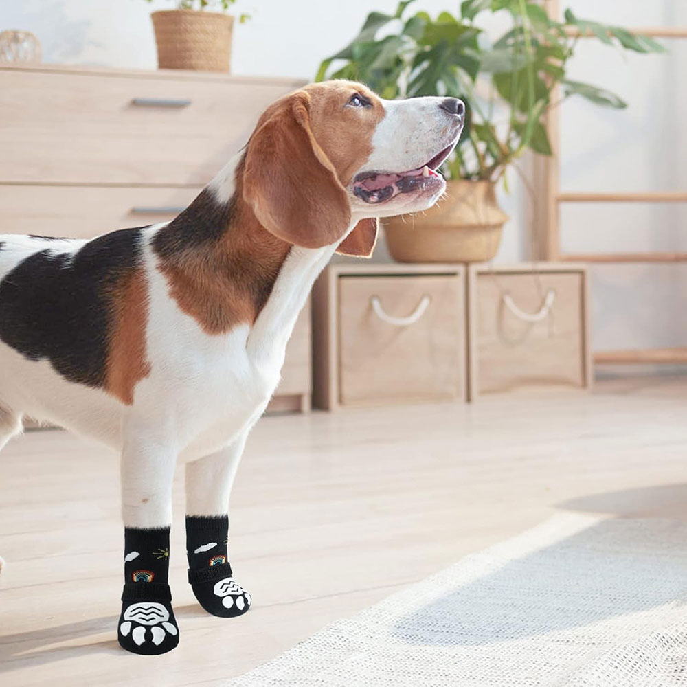 Носки Pet Fashion (Пет Фешн) Для Собак H04 Радуга L Лапа Липа/Кнопка