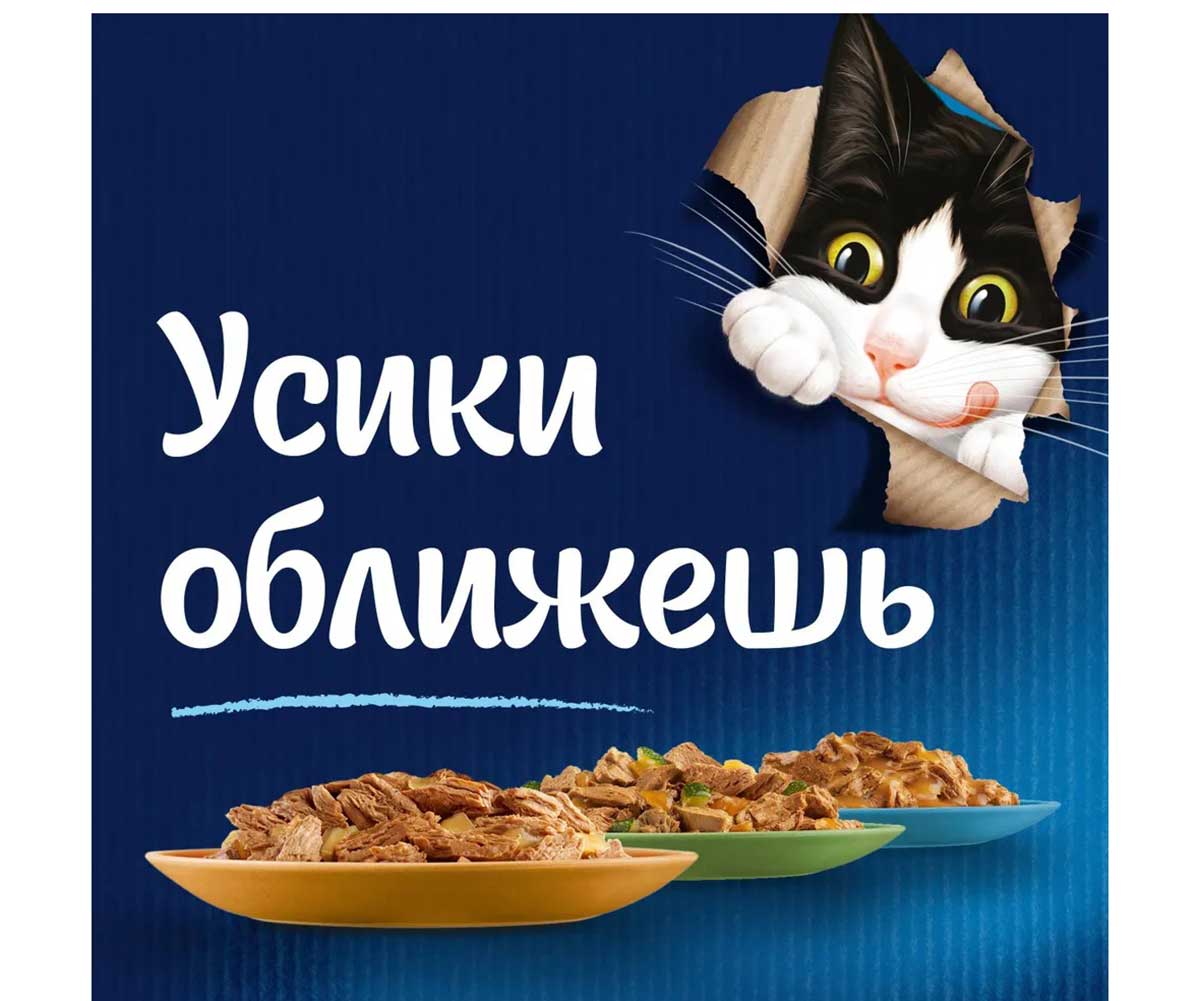 Влажный Корм Felix (Феликс) Для Кошек Утка и Морковь в Соусе Sensation 75г (1*26)