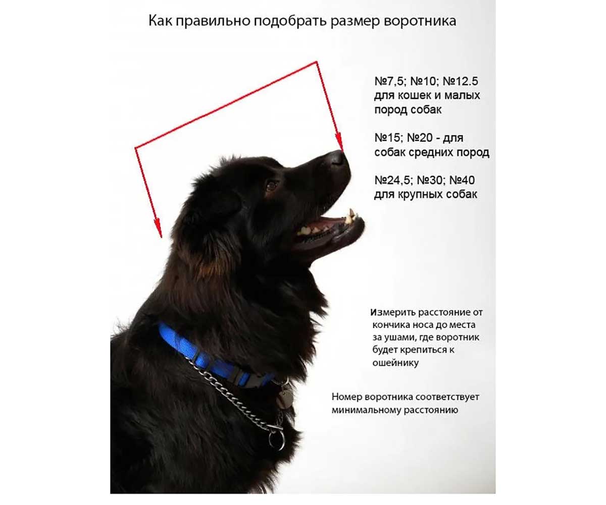 Воротник Vetзабота Защитный На Липучке №12,5