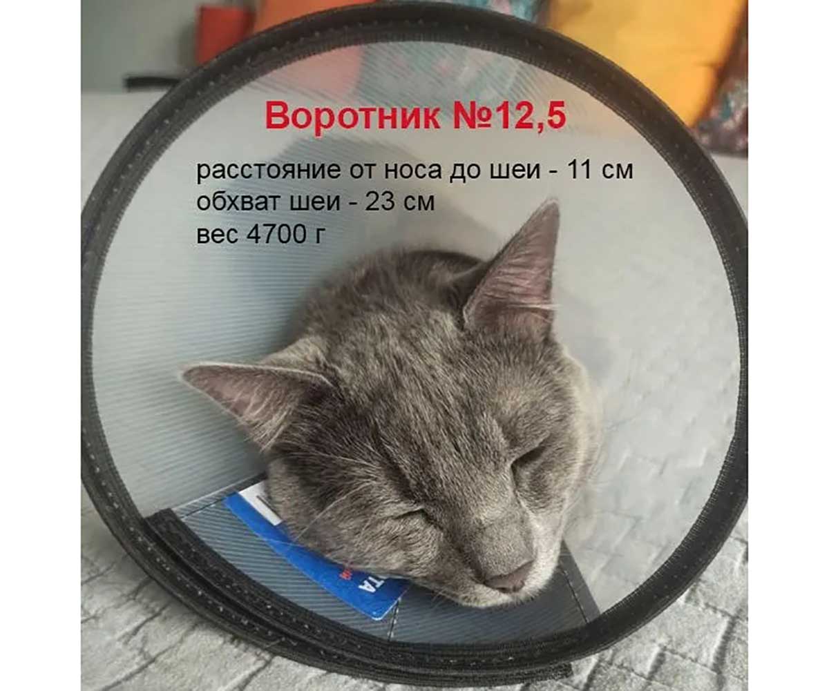 Воротник Vetзабота Защитный На Липучке №12,5