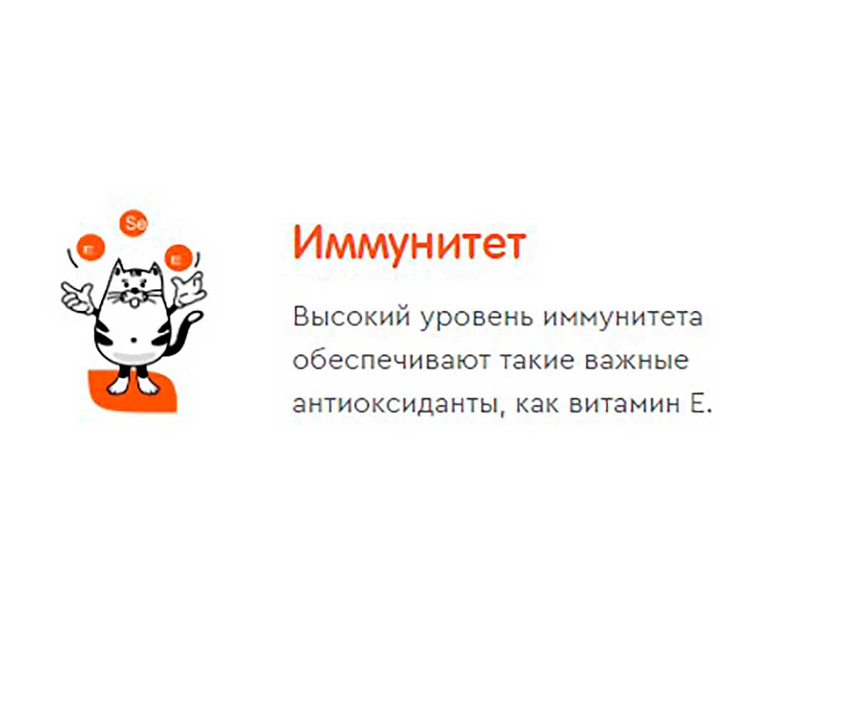 Влажный Корм Наша Марка Для Кошек Курица в Соусе 85г (1*26)