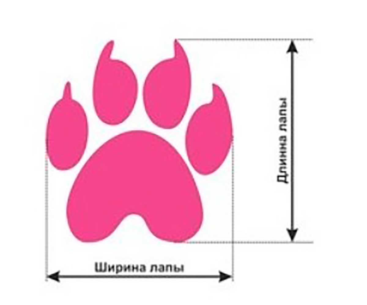 Уютики Pet Fashion (Пет Фэшн) Для Собак Роза 4 Мягкие Мех