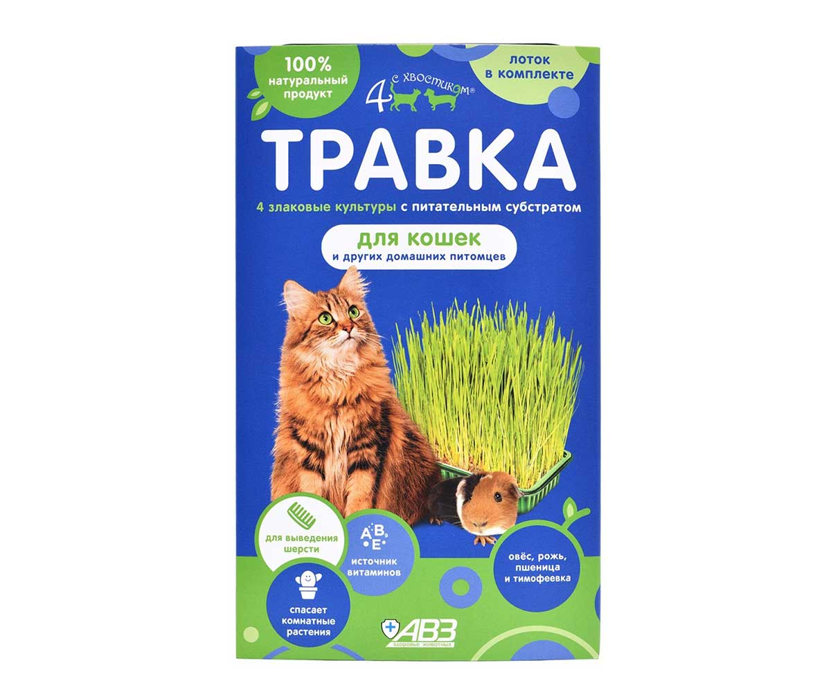 Четыре с Хвостиком Травка Для Кошек