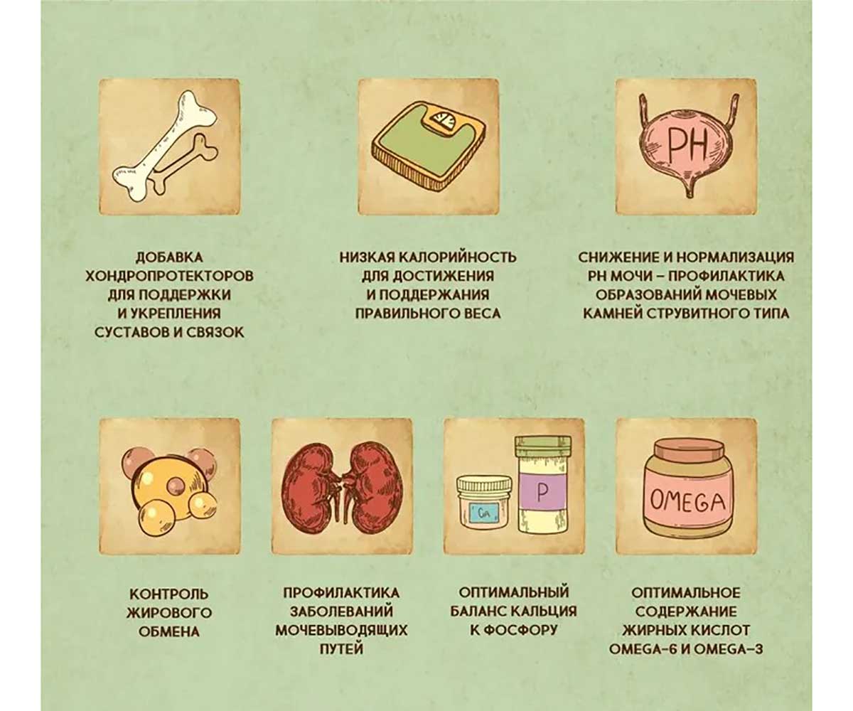 Сухой Корм Dezzie (Деззи) Для Стерилизованных Кошек Индейка и Курица Sterilized Cat 10кг 5659143
