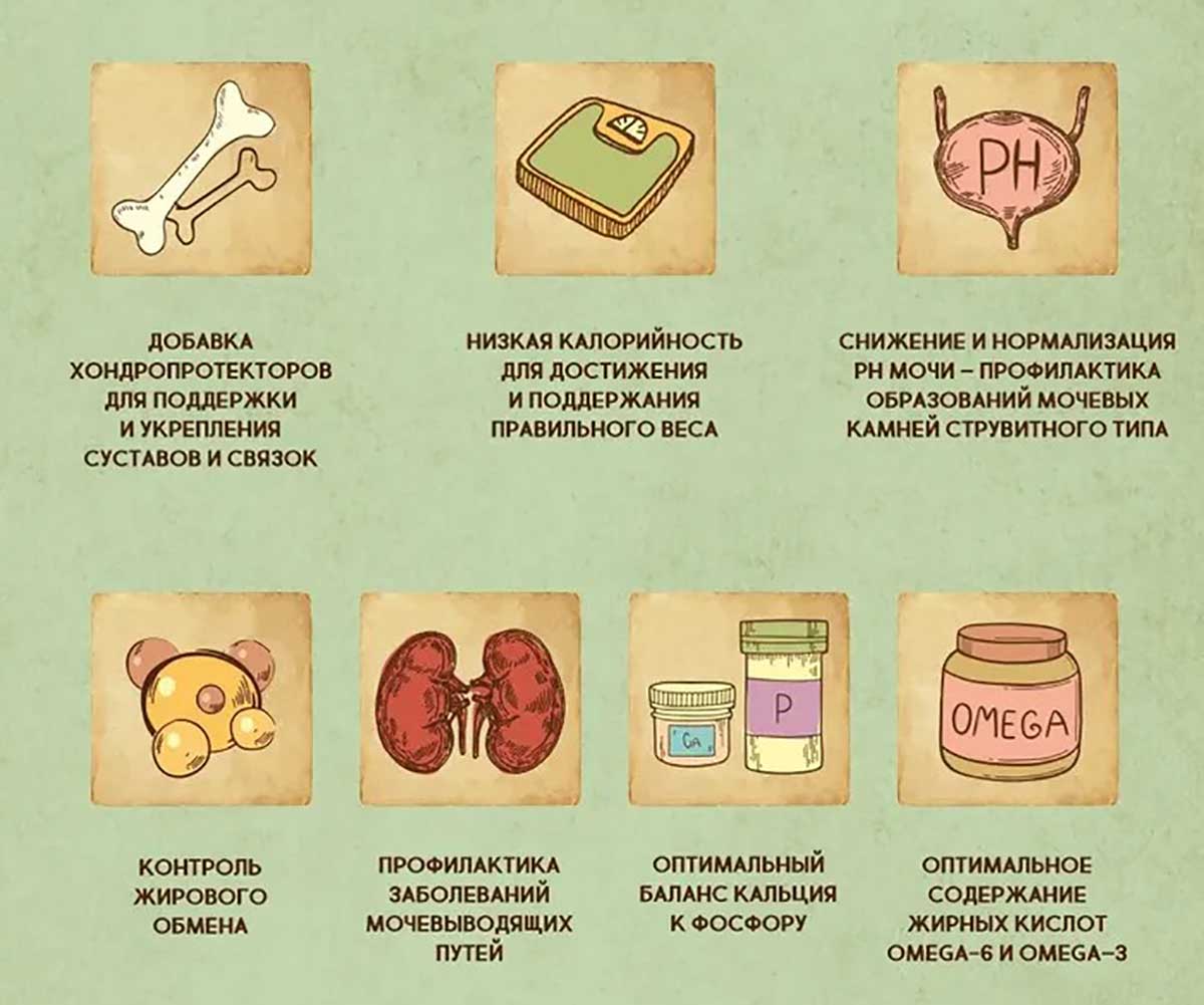 Сухой Корм Dezzie (Деззи) Для Стерилизованных Кошек Курица и Говядина Sterilized Cat 400г 5659130