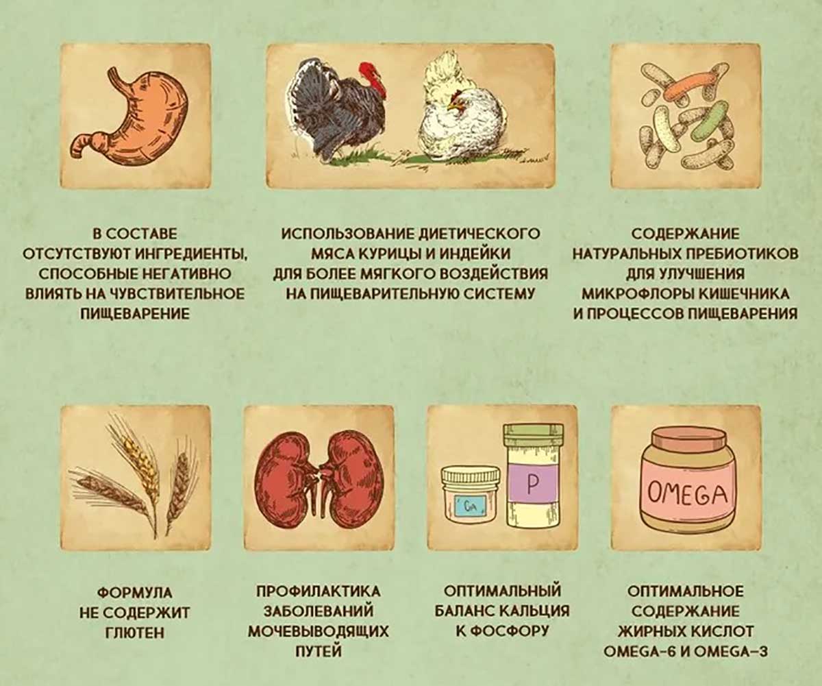 Сухой Корм Dezzie (Деззи) Для Кошек с Чувствительным Пищеварением Индейка и Курица Sensitive Digestion Cat 2кг 5659121