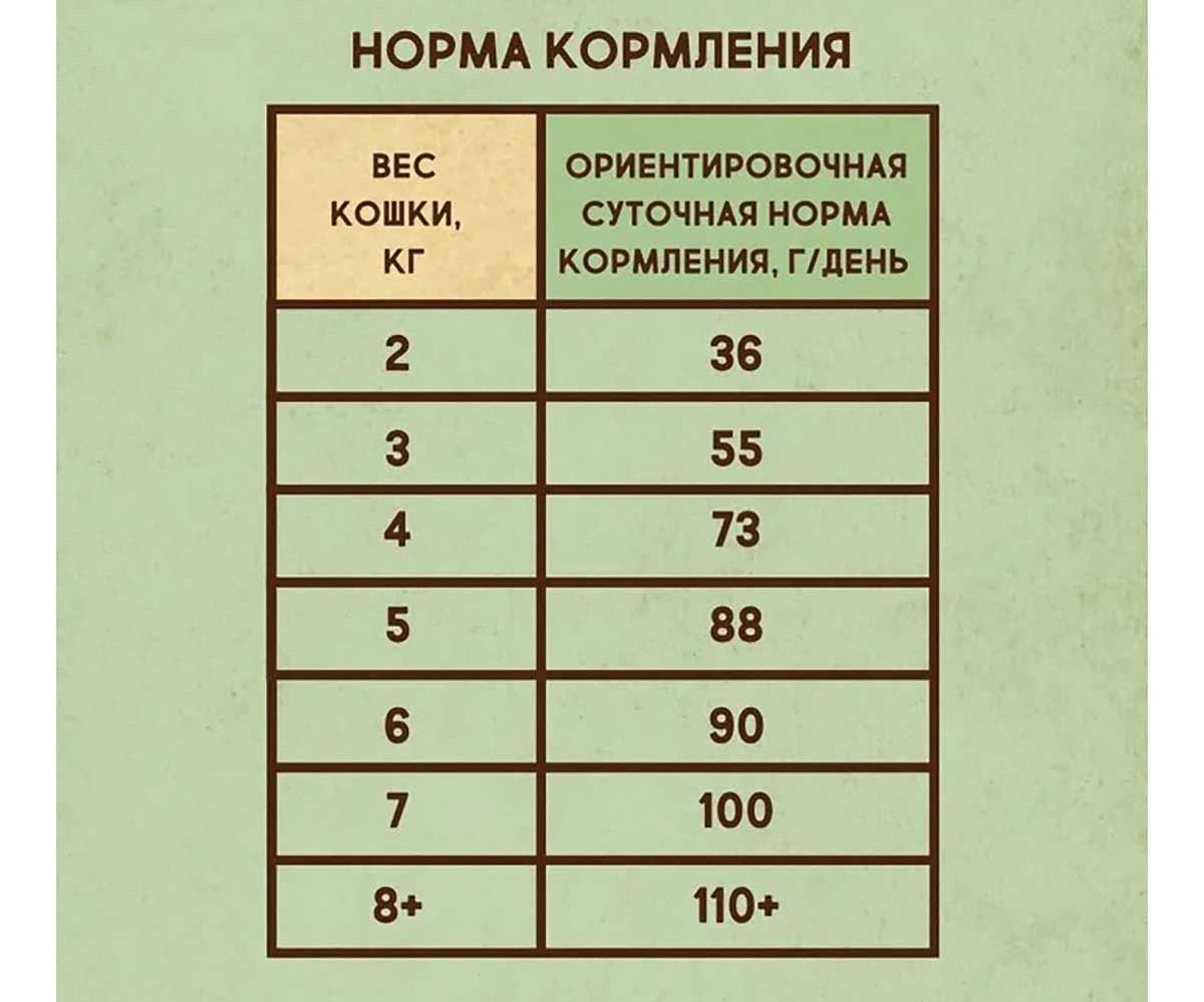 Сухой Корм Dezzie (Деззи) Для Кошек с Чувствительным Пищеварением Индейка и Курица Sensitive Digestion Cat 400г  5659120