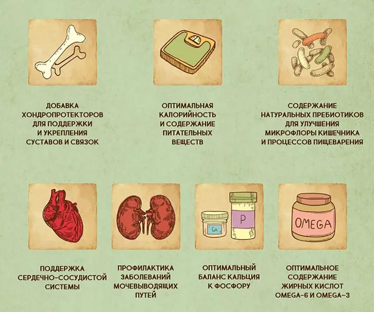 Сухой Корм Dezzie (Деззи) Для Кошек, Живущих в Помещении, Курица и Говядина Indoor Adult Cat 400г 5659110