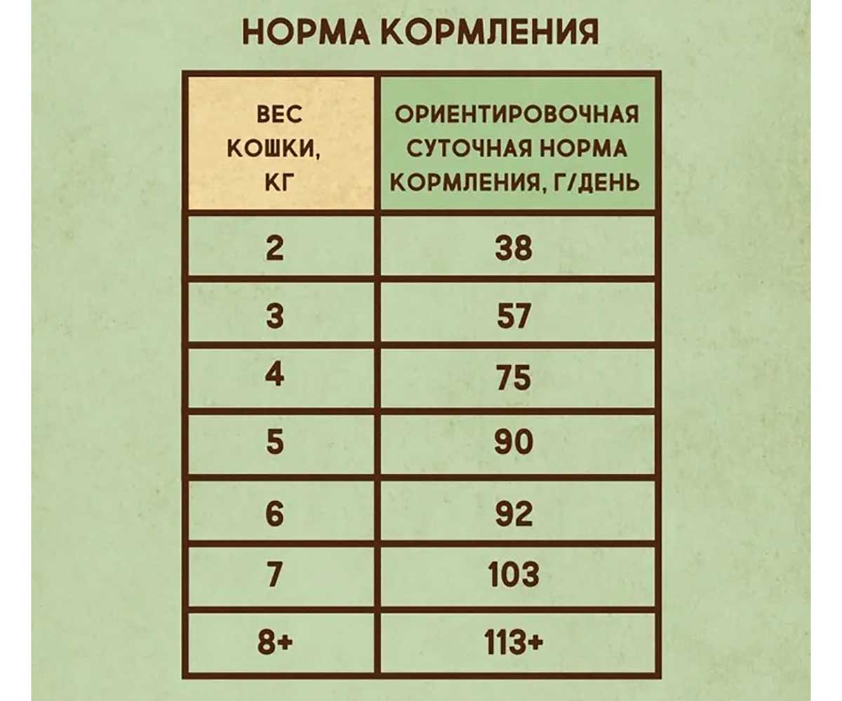 Сухой Корм Dezzie (Деззи) Для Кошек, Живущих в Помещении, Курица и Говядина Indoor Adult Cat 400г 5659110