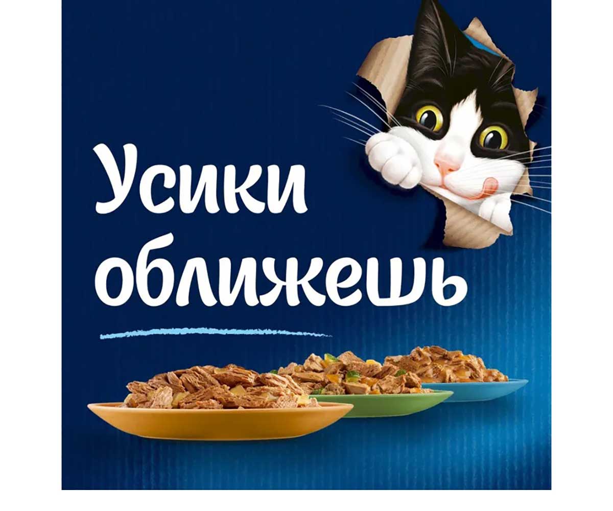 Влажный Корм Felix (Феликс) Мясные Ломтики Курица 26 Штук в Блоке 75г (1*1)