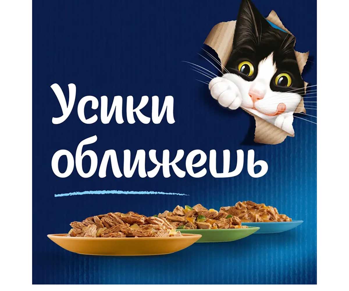 Влажный Корм Felix (Феликс) Мясные Ломтики Говядина 26 штук в Блоке 75г (1*1)