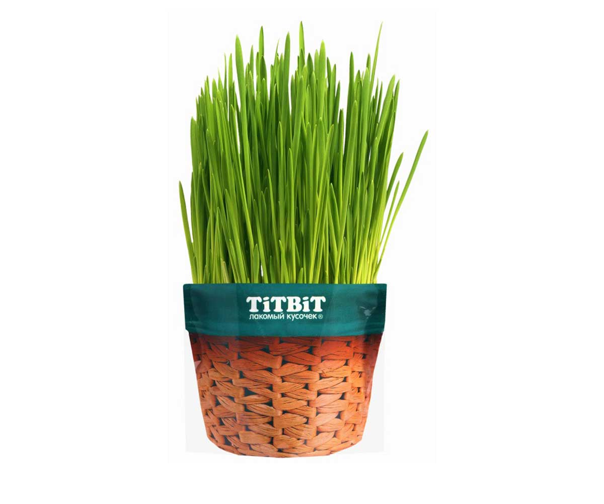 TiTBiT (Титбит) Травка Для Кошек Овес 60г 024751