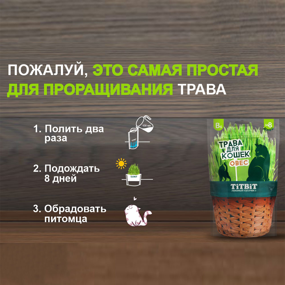 TiTBiT (Титбит) Травка Для Кошек Овес 60г 024751