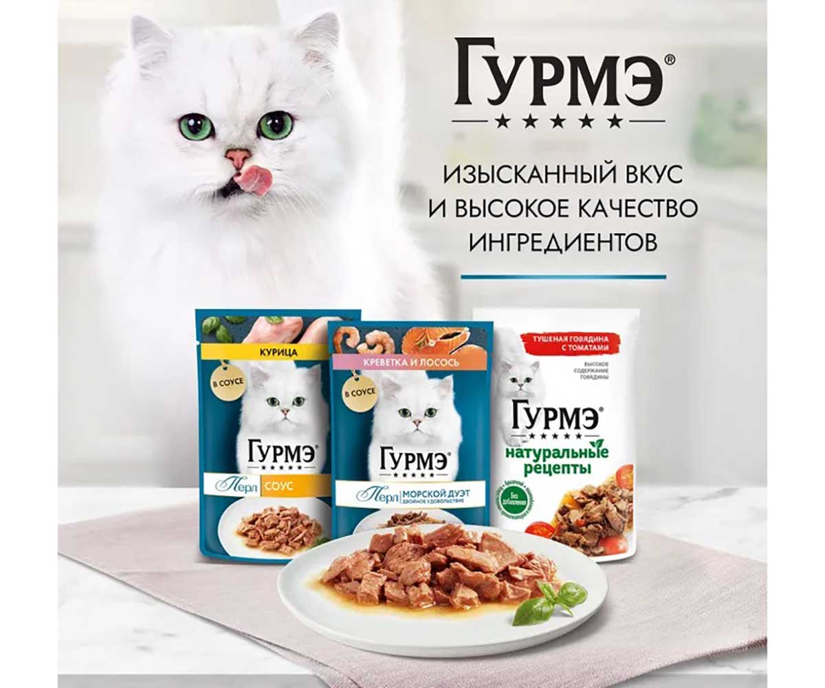 Влажный Корм Гурмэ Для Кошек Перл Соус Ягненок 26 Шт в Блоке 75г (1*1)