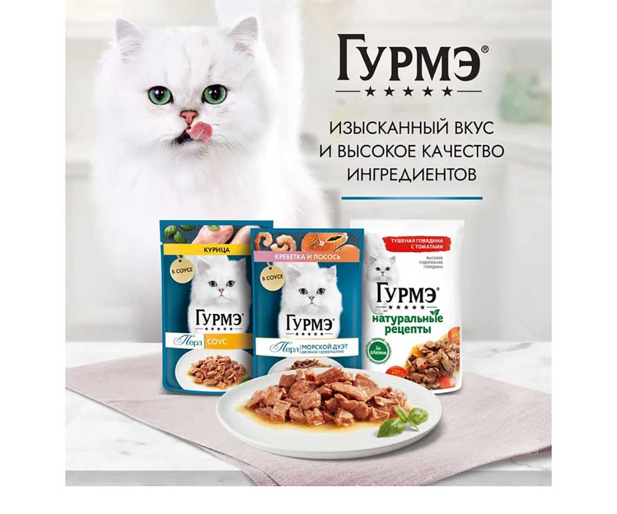Влажный Корм Гурмэ Для Кошек Перл Желе Де-Люкс Лосось 26 Шт в Блоке 75г (1*1)