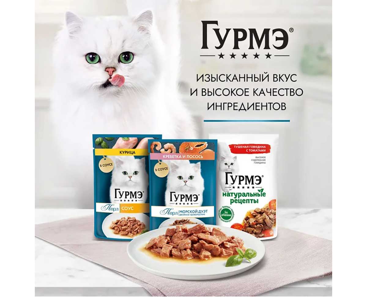 Влажный Корм Гурмэ Для Кошек Перл Соус Утка Филе 26 Шт в Блоке 75г (1*1)