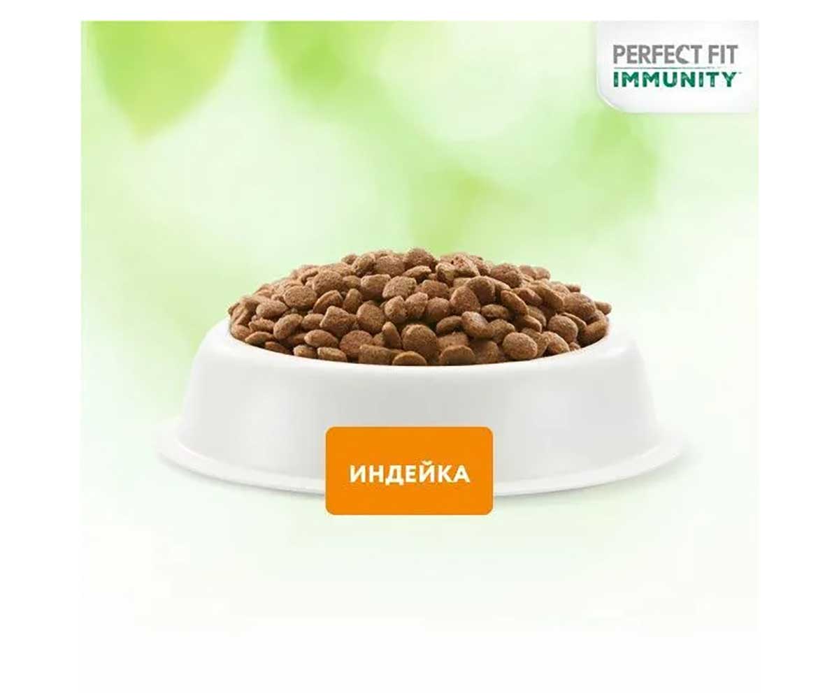 Сухой Корм Perfect Fit (Перфект Фит) Для Кошек Иммунитет Индейка, Спирулина и Клюква 580г (1*12)