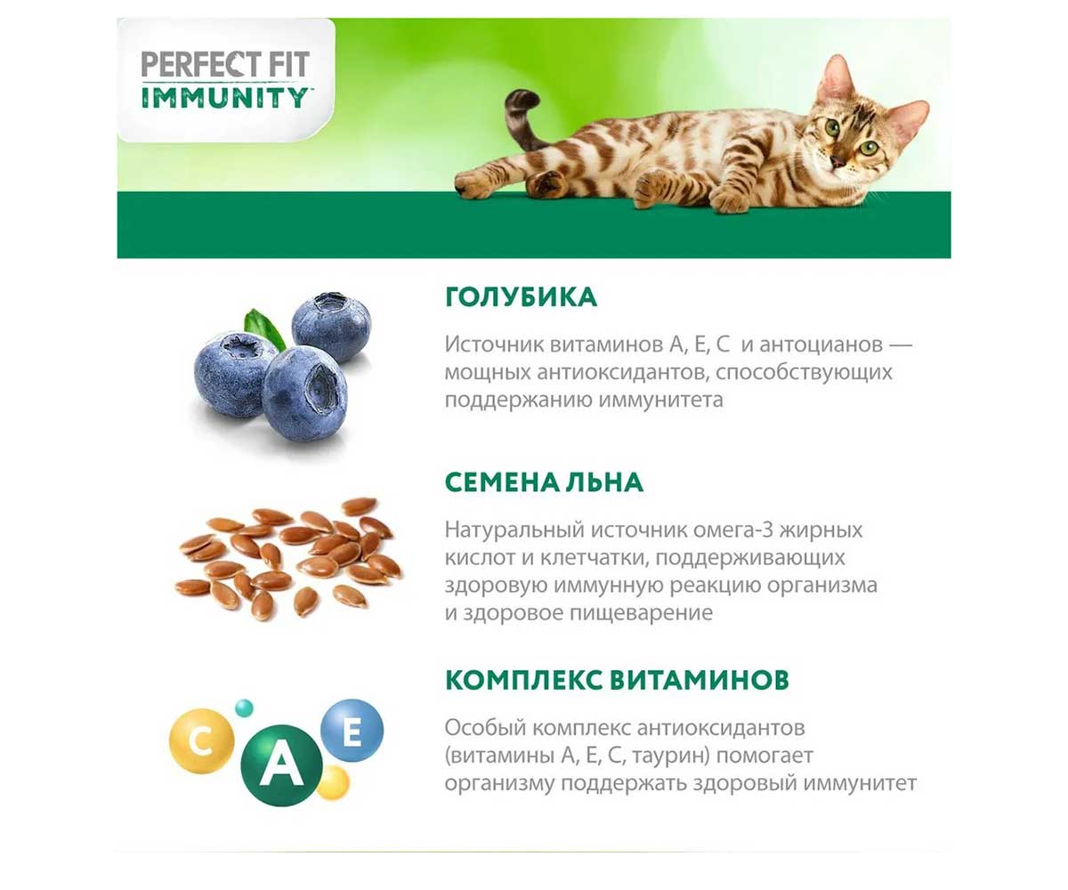 Сухой Корм Perfect Fit (Перфект Фит) Для Кошек Иммунитет Говядина, Лен и Голубика 580г (1*12)
