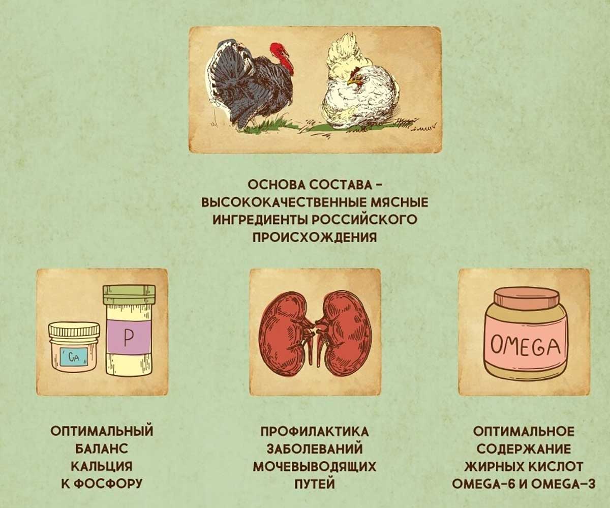 Влажный Корм Dezzie (Деззи) Для Стерилизованных Кошек Индейка в Соусе Sterilized Cat Turkey 85г 5657073 (1*12)